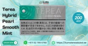 Buy Iqos Terea Hybrid Pearl Smooth Mint from Japan in Dubai